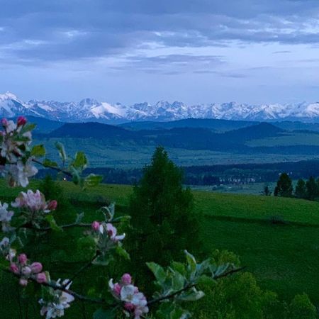 Koza U Woza Wypocznij W Gorach W Rytmie Slow Drewniany Dom Premium Z Widokiem Na Panorame Tatr Ecospa Strefa Fitness Zielona Farma Warsztaty (Adults Only) Szlembark Kültér fotó