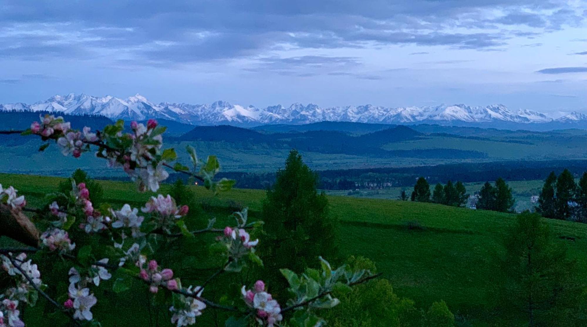 Koza U Woza Wypocznij W Gorach W Rytmie Slow Drewniany Dom Premium Z Widokiem Na Panorame Tatr Ecospa Strefa Fitness Zielona Farma Warsztaty (Adults Only) Szlembark Kültér fotó