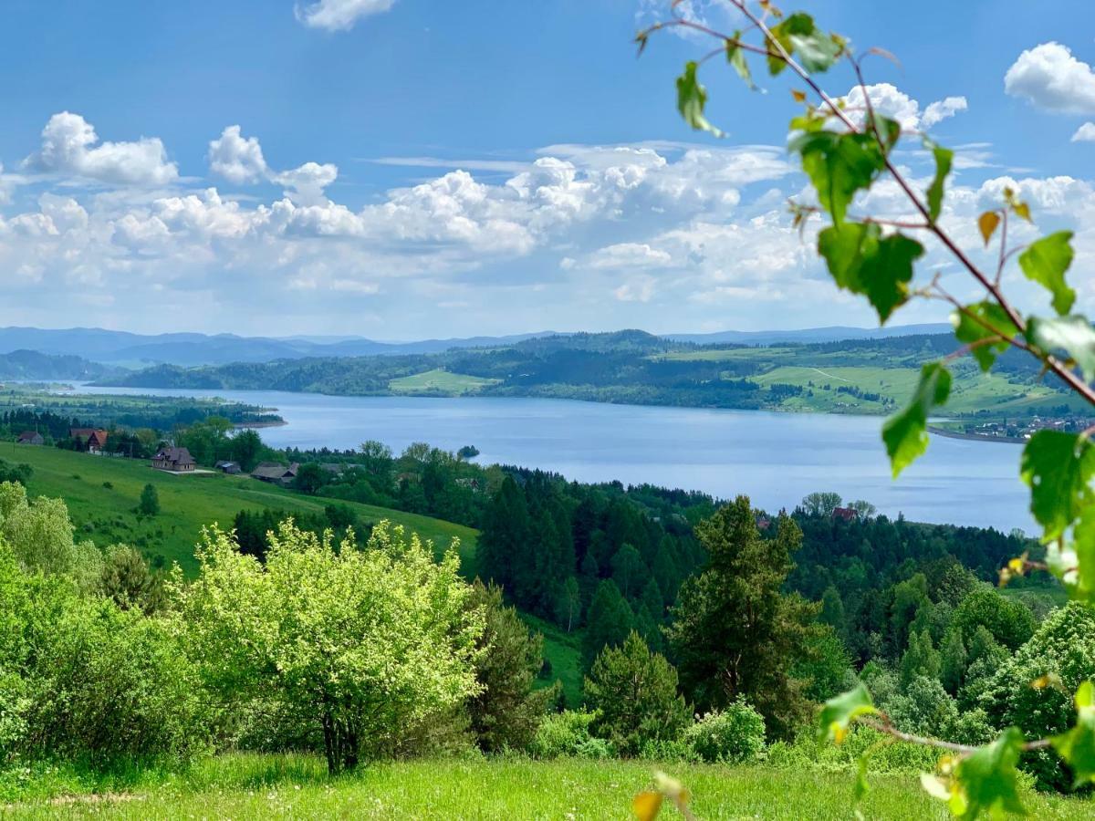 Koza U Woza Wypocznij W Gorach W Rytmie Slow Drewniany Dom Premium Z Widokiem Na Panorame Tatr Ecospa Strefa Fitness Zielona Farma Warsztaty (Adults Only) Szlembark Kültér fotó